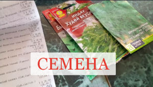 Семена. Рассада. Какие. Огород . Дача . Что. Сад. Редис. Морковь. Свекла. Средство. От проволочника