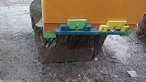 Осмотр двух маточного улика. Развитие пчел в ППУ улике.