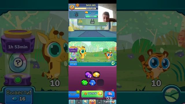 Животные едят канфеты.! 😯 смотреть онлайн