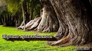 "Корень праведников" В. М. Хорев. Проповедь. МСЦ ЕХБ.