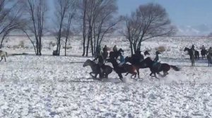 Шу кокпар Нуркен палуан Кокдауылмен Алматы кокпар Балуан Шолак кокпар