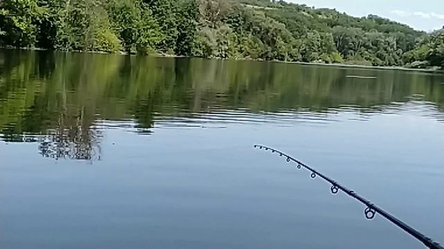 Поклёвки леща на фидерной рыбаке. смотреть онлайн