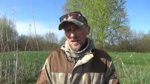 ОХОТА НА ВОЛКА НА ВАБУ И С ФЛАЖКАМИ. ОХОТА НА ЛИС. Ночная охота на хищника