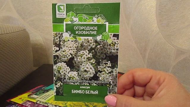 Неприхотливые однолетники.Сальвия,агератум,алиссум.