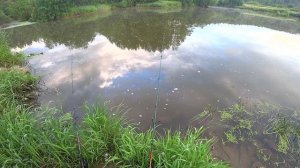 ЛОВЛЯ ЛЕЩА НА РЕКЕ/ФИДЕР/FISHING ON THE RIVER/FEEDER...