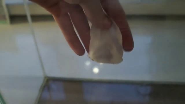 Как очистить оквариум от известкового налёта? смотреть онлайн