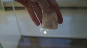 Как очистить оквариум от известкового налёта?