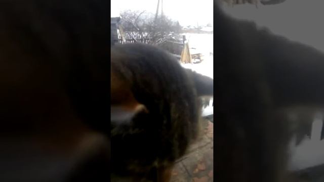 Это брат Мартына я покажу вам Мартына смотреть онлайн