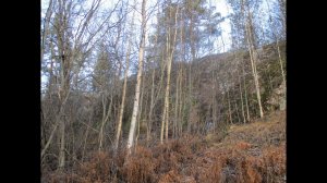 FM-BAND SCAN IN PRIOZERSK(SAINT-PETERSBURG REGION)(TROPO) (24.11.2019)