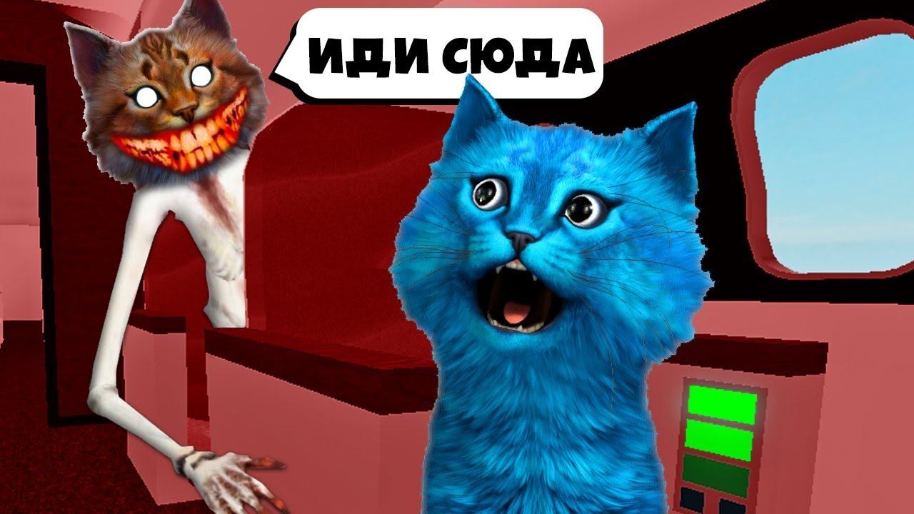Котенок лайк и кирюха роблокс. Котенок лайк и кирюха роблокс