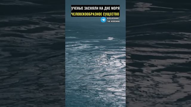 Ученые засняли на дне моря человекообразное существо