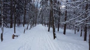 В снежном месяце апреле. Санкт-Петербург 02.04