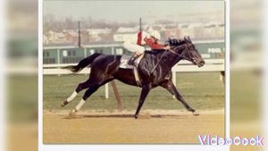 знаменитые лошади Секретариат,Резвая и Сухарь