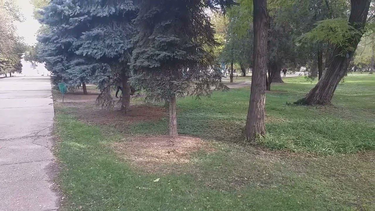 ходить в завод смотреть онлайн