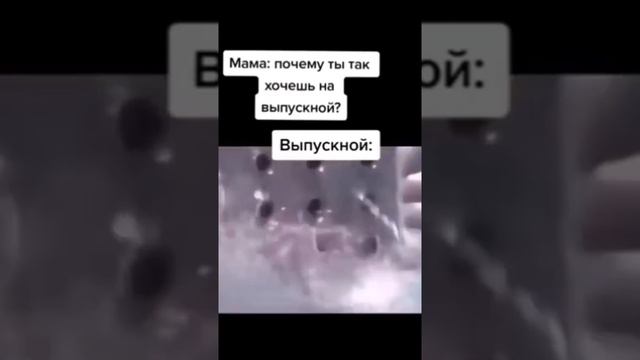 #Мем