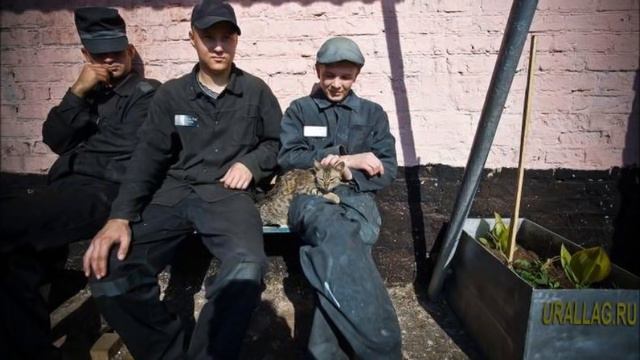 ЗОНА ИЗНУТРИ КАРТЫ НА ЗОНЕ КАК МОЖНО ПОПАСТЬ НА ИГРАХ НА ЗОНЕ смотреть онлайн