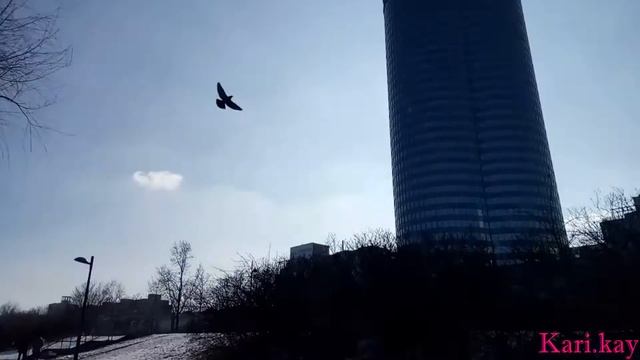 # ВВ1 Вена-Влог|| Жизнь и учеба в Вене || Австрийская библиотека смотреть онлайн