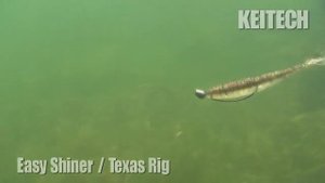 Keitech Easy Shiner. Ловля на джиг. Техасская остастка