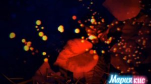 (День святого Валентина. Алёна Швец) пони клип