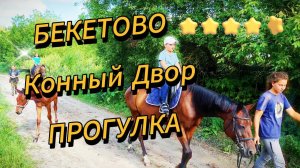 Конная прогулка на лошадях / БЕКЕТОВО