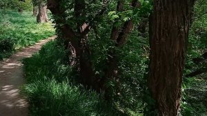 От парка до Института по обрыву+ улица Курортная