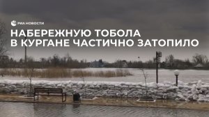 Набережную Тобола в Кургане частично затопило