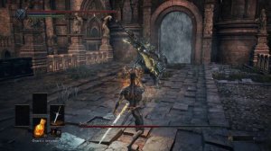 Доспехи Драконоборца Dark Souls 3 (No Armor, Dragon Form)