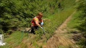 Дачники. Мульча. Мульчирование почвы