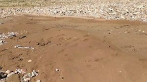 Река Ангрен