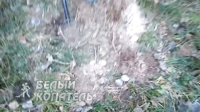 КЛАД В ЛЕСУ ? НАШЛИ СЛУЧАЙНО! смотреть онлайн