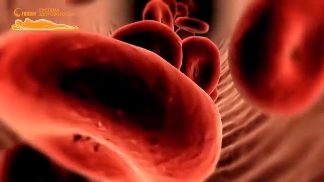 Функциональный 3D-матрас Fohow смотреть онлайн