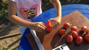 Очень плотная сливка. Томат ТЕТЯ ВАЛЯ