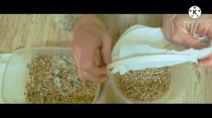 НЕ МОГУ МОЛЧАТЬ!!! Или обещанное видео по следам сбора триходермы в лесу.