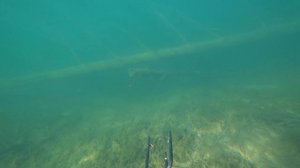 Подводная съёмка на экшен камеру сони FDR-X3000 .Озеро Байкал-Посёлок Малыгино.