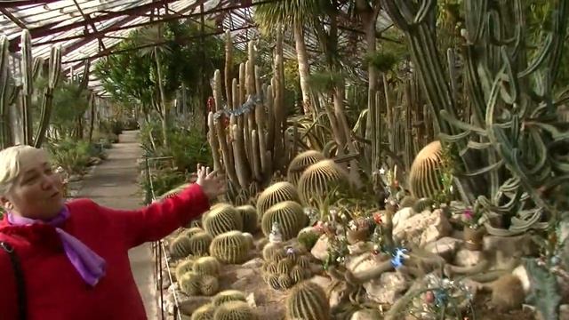 Лучшее видео из Крыма,слова патриота!Ялта кактусовая галерея!!! смотреть онлайн