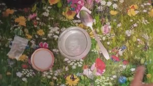 Экологически чистая отрава от муравьев. Съел и порядок