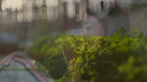 Canon FD 55 mm f/ 1.2 S.S.C. test. Fujifilm X-T4 f/ 1.2