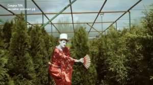 Посадка калины. Уход за калиной в саду для новичков