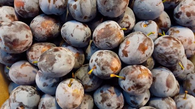 Слива Чернослив смотреть онлайн