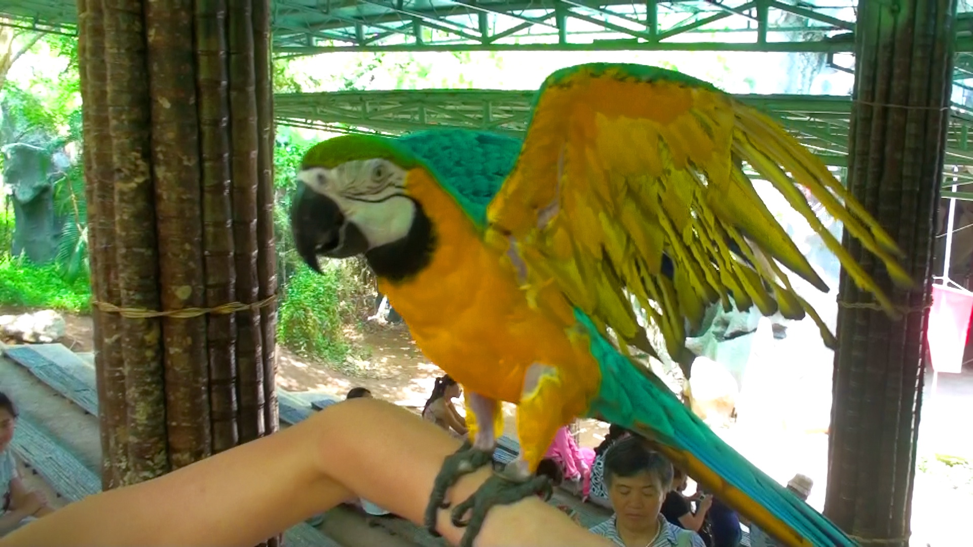 Санья - Остров Обезьян 2 смотреть онлайн