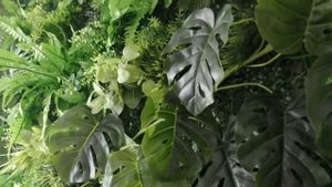 Фитостена, Панно из искусственных растений на заказ