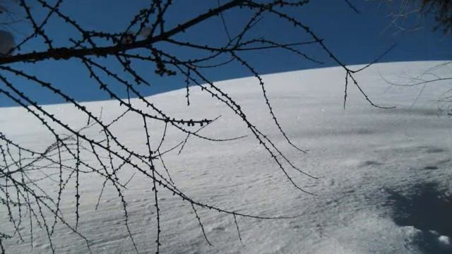 Wintertraum in Saalfelden смотреть онлайн