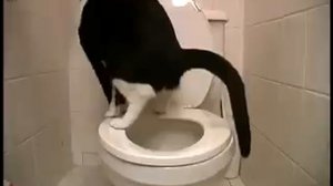 Посрал и упал