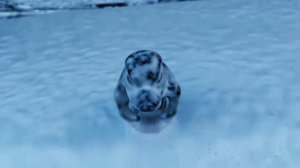 Тюнингованная Газель Некст с прицепом | Lexa____1234 | Тюнинг газели