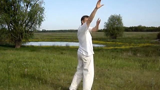 03 Спиральная Гимнастика - 3-я стадия смотреть онлайн