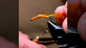 Вяжем нимфу веснянки "3 бусины".  fly tying stonefly larva, nimph "3 beads"