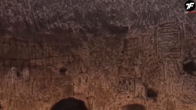 Посмотрите, Что Дайверы Обнаружили в Марианской Впадине