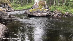 Northern Karelia. River rapids /Северная Карелия. Речные пороги