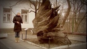 Темная история Три богатыря.mp4