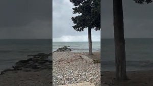 Вардане Львовский 11 видео 1